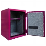 Excellent_阿波羅_e世紀　防火型電子保險箱FP2303F